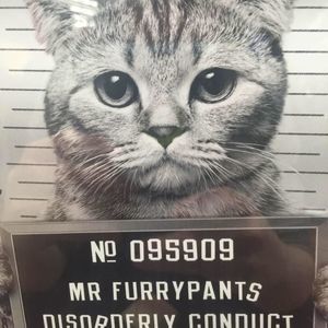 Meet your Posher, James